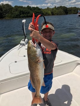 St. Petersburg Fishing