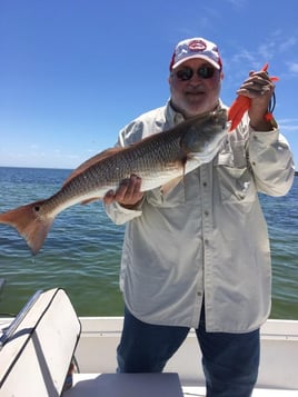 St. Petersburg Fishing