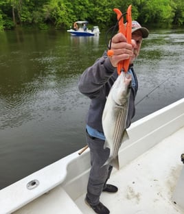 5 Hour Trip – Weldon Striper