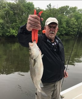 5 Hour Trip – Weldon Striper