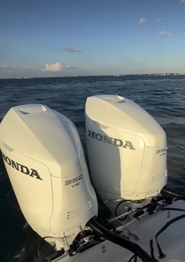 Deep Sea 30-50+ Miles Offshore