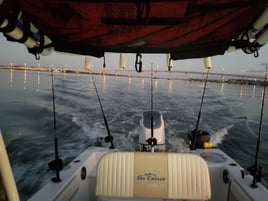 Blue Water Excursion 