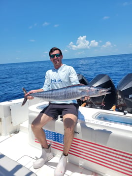 Blue Water Excursion 
