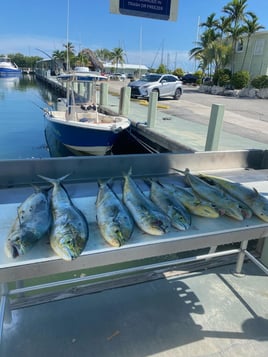 Blue Water Excursion 