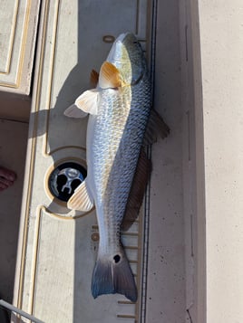 Morning Inshore Bay Fishing