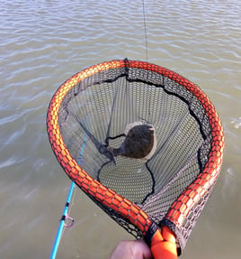Morning Inshore Bay Fishing