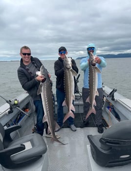 Sturgeon Trip - Catch And Release