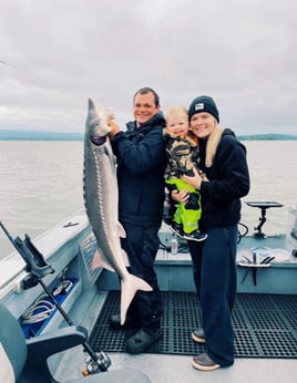 Sturgeon Trip - Catch And Release