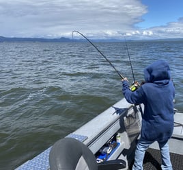 Sturgeon Trip - Catch And Release