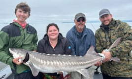 Sturgeon Trip - Catch And Release