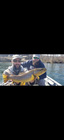 Fly Fishing For Seasoned Anglers