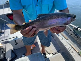 Fly Fishing Trip For Beginners