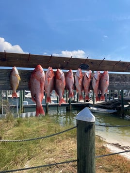 4-6 Hour – Bottom Fishing/Combo