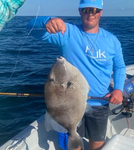 4-6 Hour – Bottom Fishing/Combo