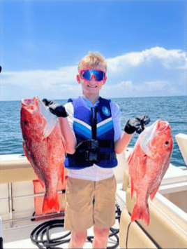 4-6 Hour – Bottom Fishing/Combo