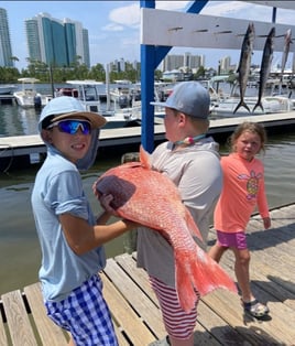 4-6 Hour – Bottom Fishing/Combo