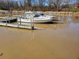 Trout And Salmon Sportfishing