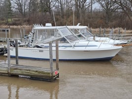 Lake Ontario Trout & Salmon
