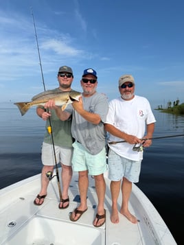 Half Day Inshore Trip