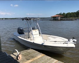 Half Day Inshore Trip