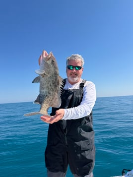 Half Day Inshore Trip