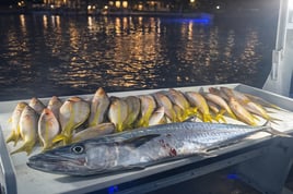 Miami Night Fishing Experience 