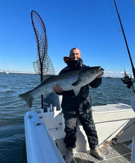 Inshore Fishing Trip
