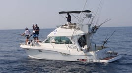 Rogoznica Fishing Trip 