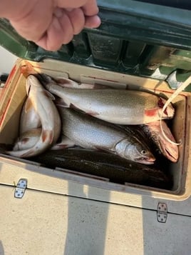 Seneca Lake Fishing Trip - Weekday