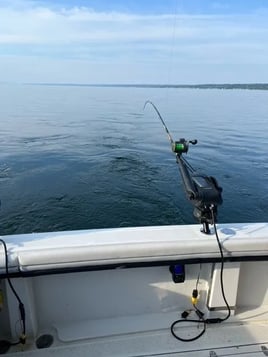 Seneca Lake Fishing Trip - Weekday