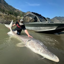 Full Day Adventure - 8 Hours