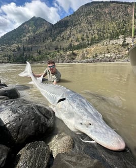 Full Day Adventure - 8 Hours