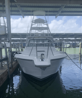 Galveston Deep Sea Trophy Fishing