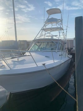 Galveston Deep Sea Trophy Fishing