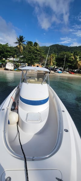Sport Fishing Trips
