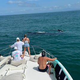 Private Tours - Yatch