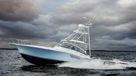 Half Day Inshore Fishing 