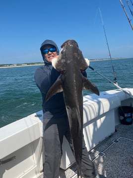 Half Day Inshore Fishing Am