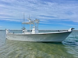 6 Hour Am/Pm Fishing, Big Fish!