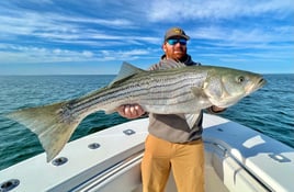 Striped Bass/Bluefish