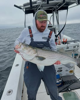 Striped Bass/Bluefish