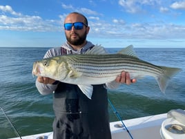 Striped Bass/Bluefish