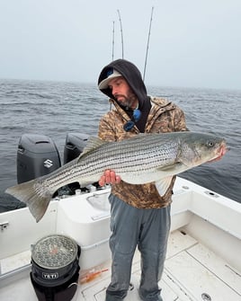 Striped Bass/Bluefish