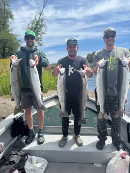 Summer Steelhead 