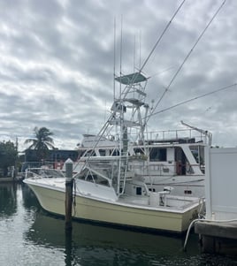 4-8 Hour Offshore Trip
