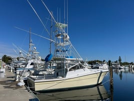 4-8 Hour Offshore Trip