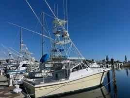 4-8 Hour Offshore Trip