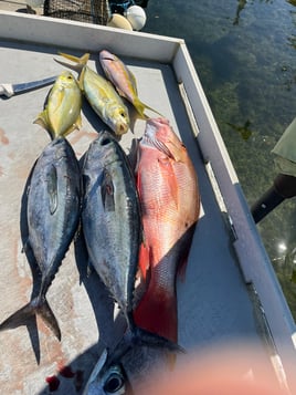 4-8 Hour Offshore Trip