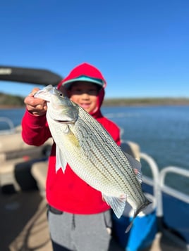 Striper Fishing