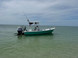 SWFL Fishing